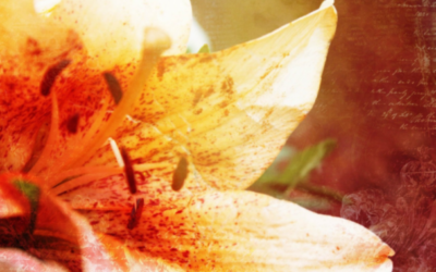 Niveles de polen en el aire: información y predicción semanal