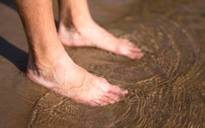 Nuestro vocal de Alimentación, autor de una ficha técnica sobre el abordaje de la hiperuricemia desde la farmacia